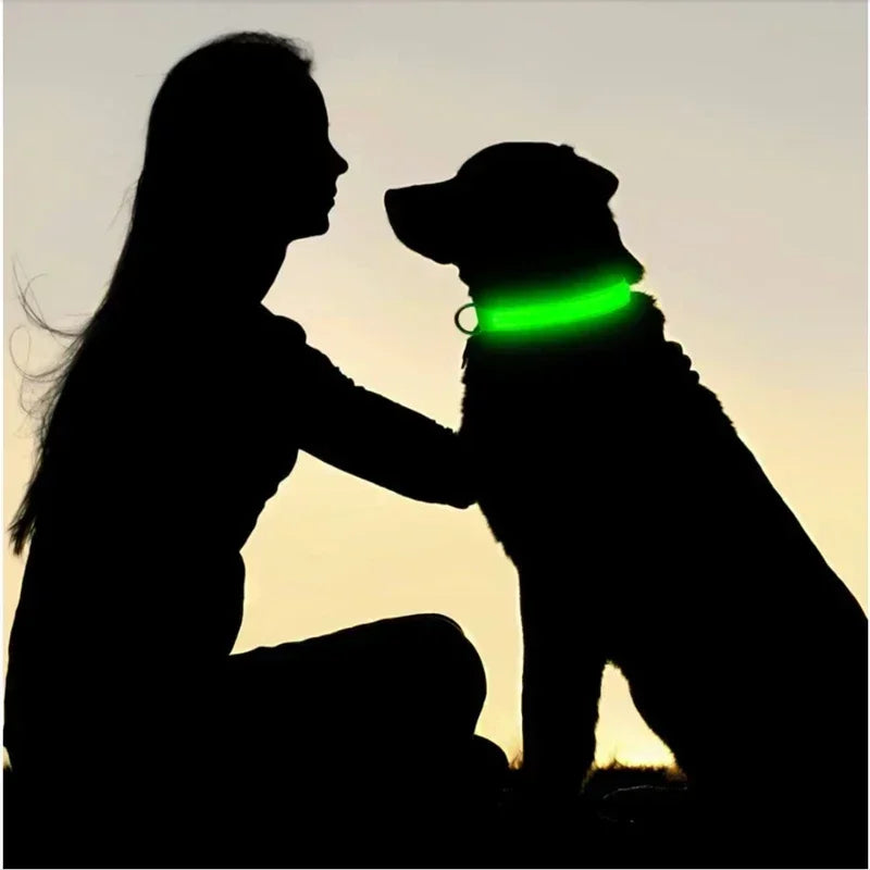 GlowPup LED Collar