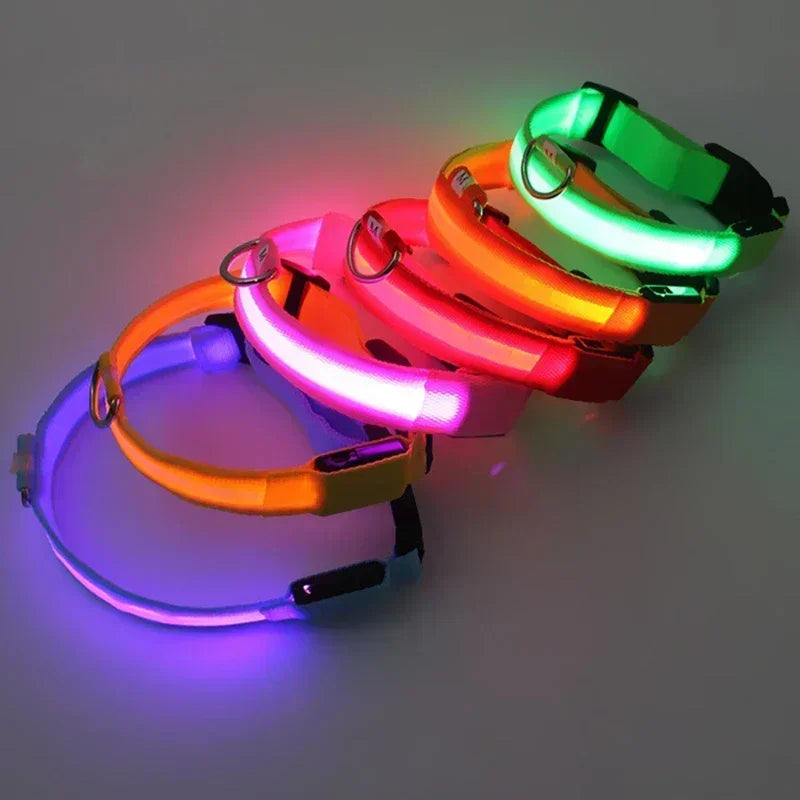 GlowPup LED Collar
