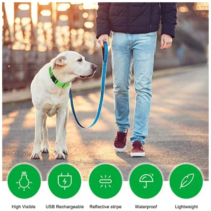 GlowPup LED Collar