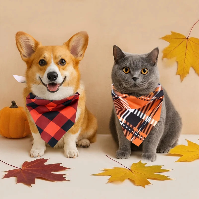 Precious Pumpkin Bandanas