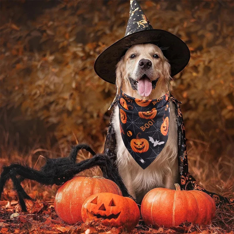 Spooky Paws Bandana Set