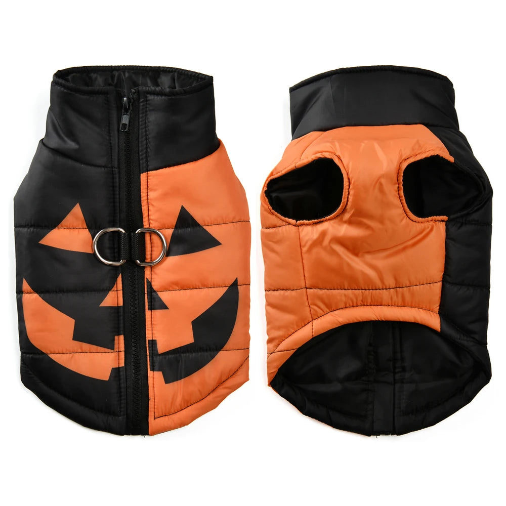 Fang-tastic Fall Jacket