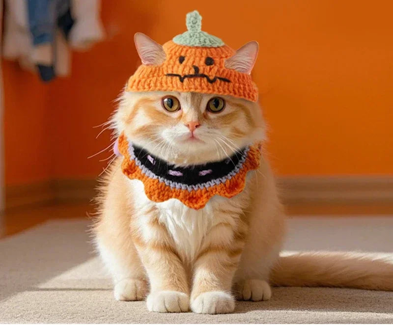 Cute Little Pumpkin Hat & Neck Puffs