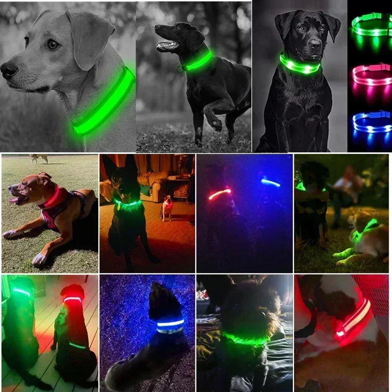 GlowPup LED Collar