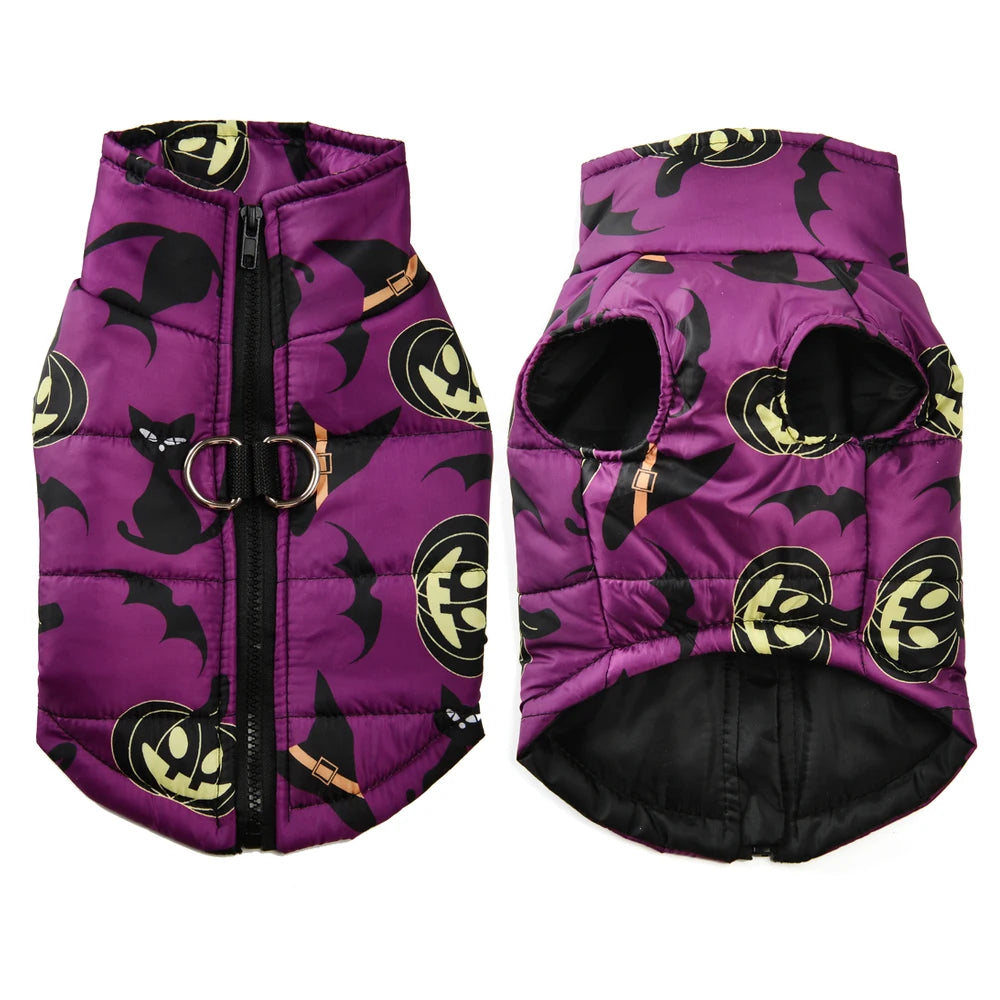 Fang-tastic Fall Jacket