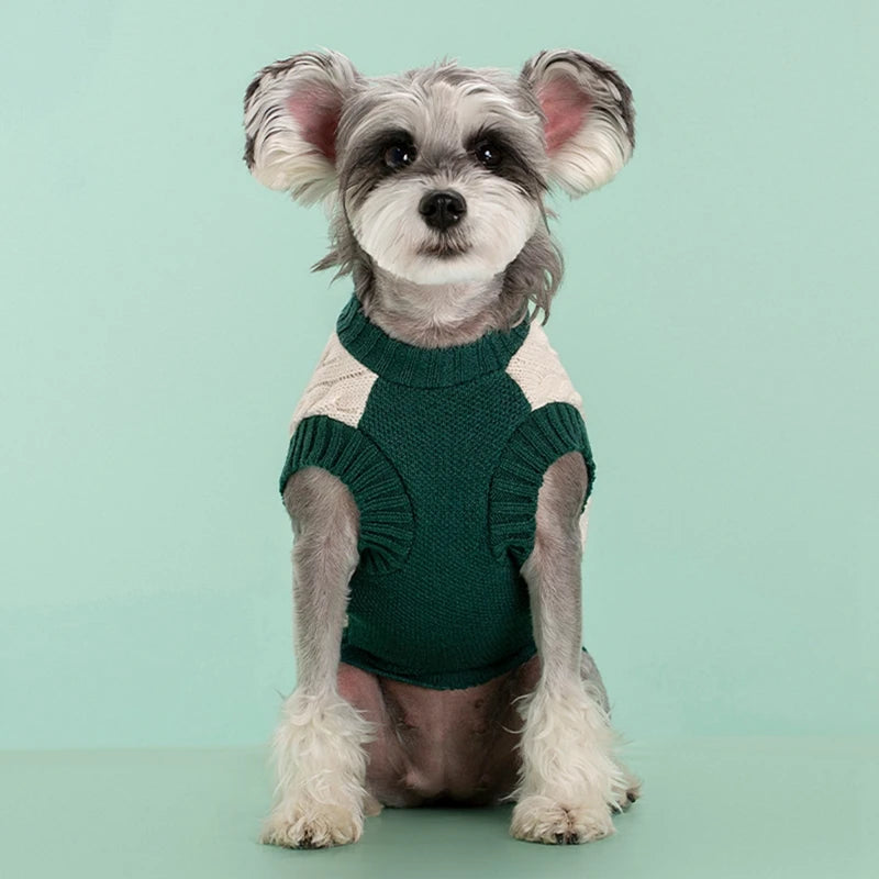 Cozy Paws Knit Sweater
