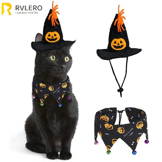 Pumpkin Jack-o'-Paws