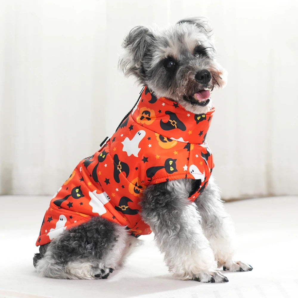 Fang-tastic Fall Jacket
