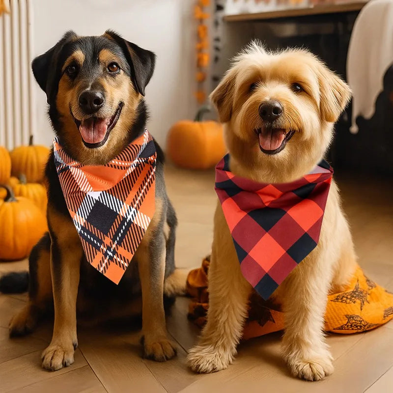 Precious Pumpkin Bandanas