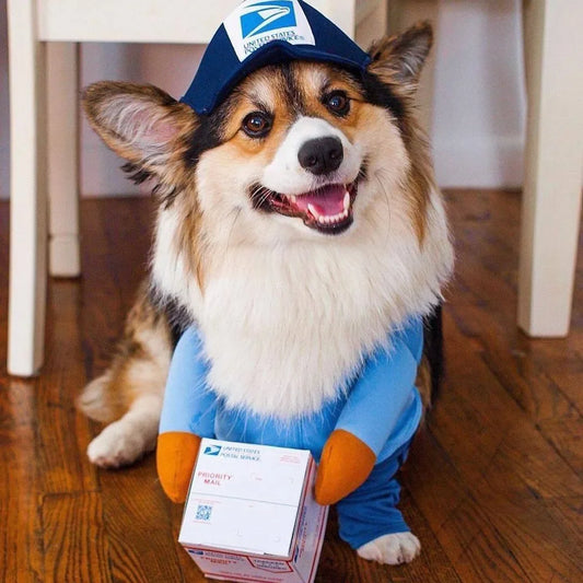 Furry Express