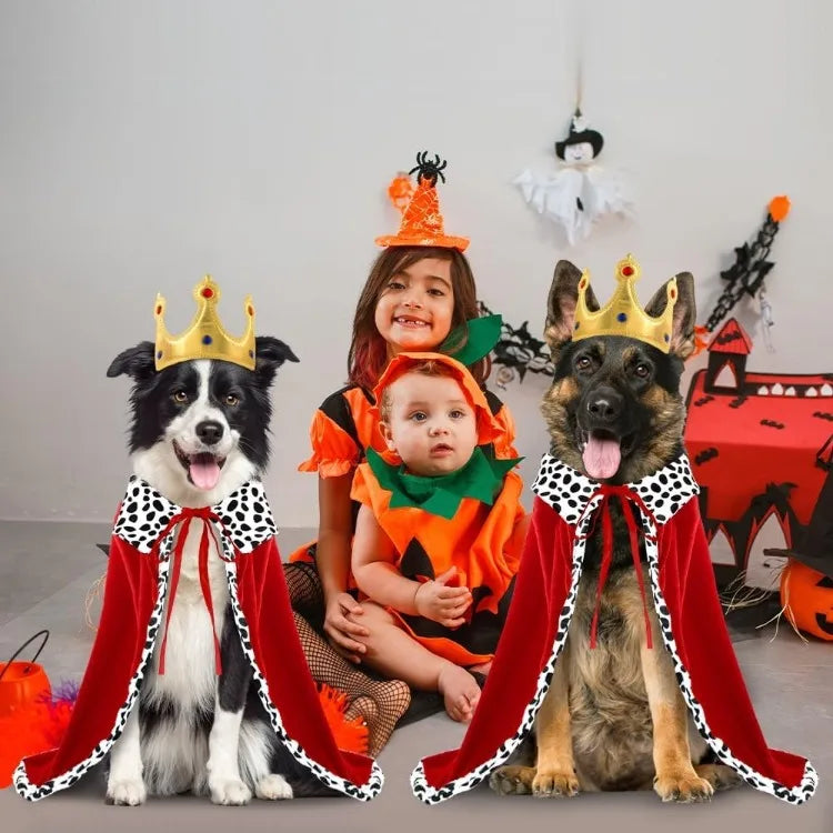 Royal Paws Cloak & Crown