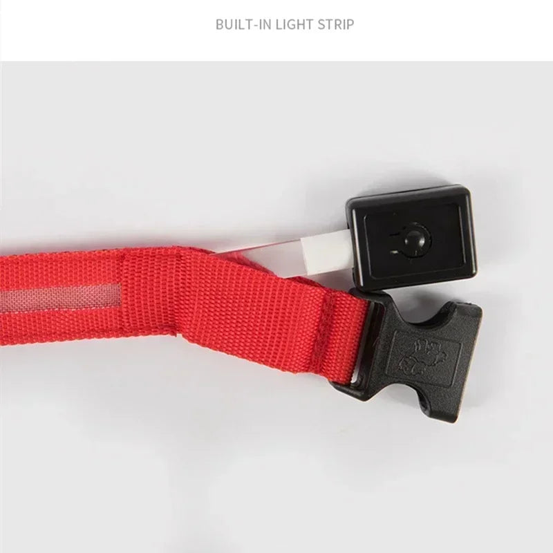 GlowPup LED Collar