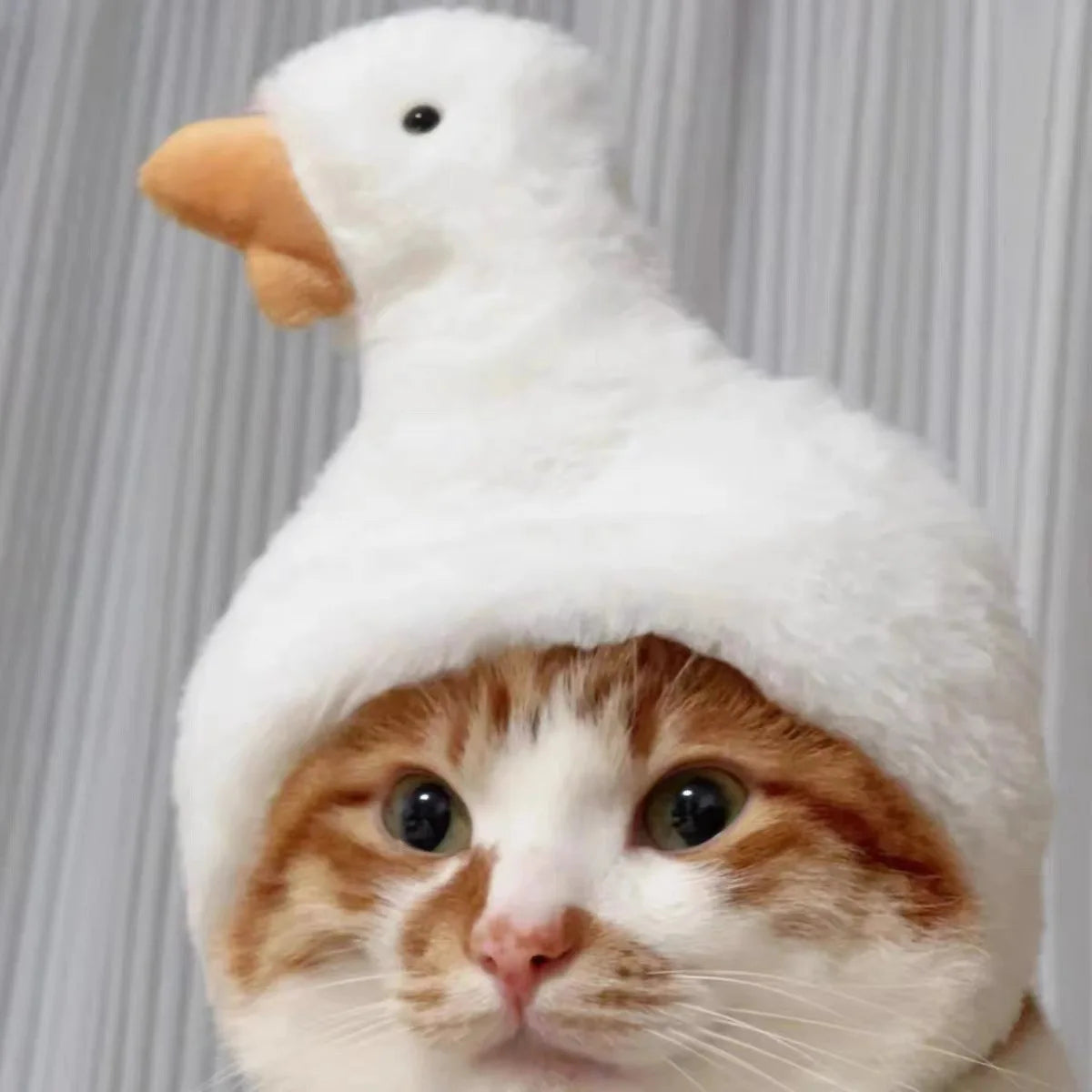 Cuddle Critter Caps