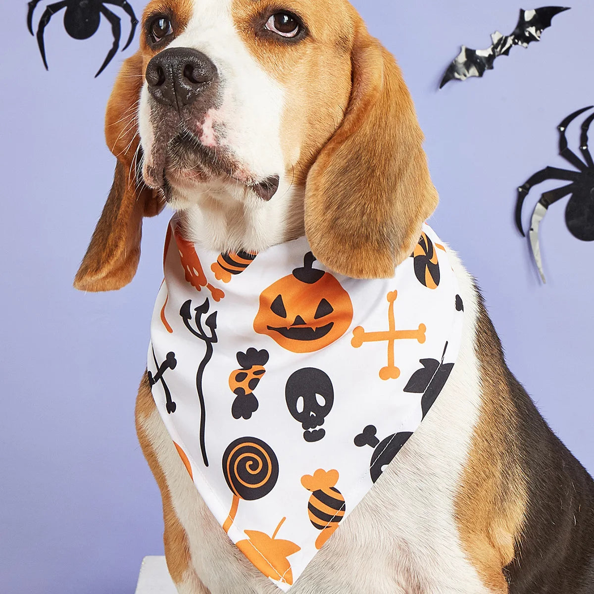 Reversible Howl-o-ween Bandanas - SwagPets 
