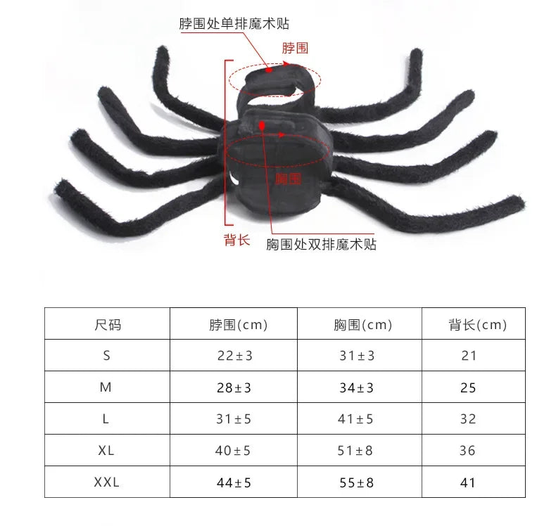 Web Walker