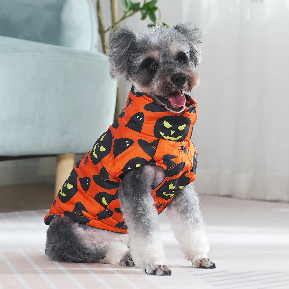 Fang-tastic Fall Jacket
