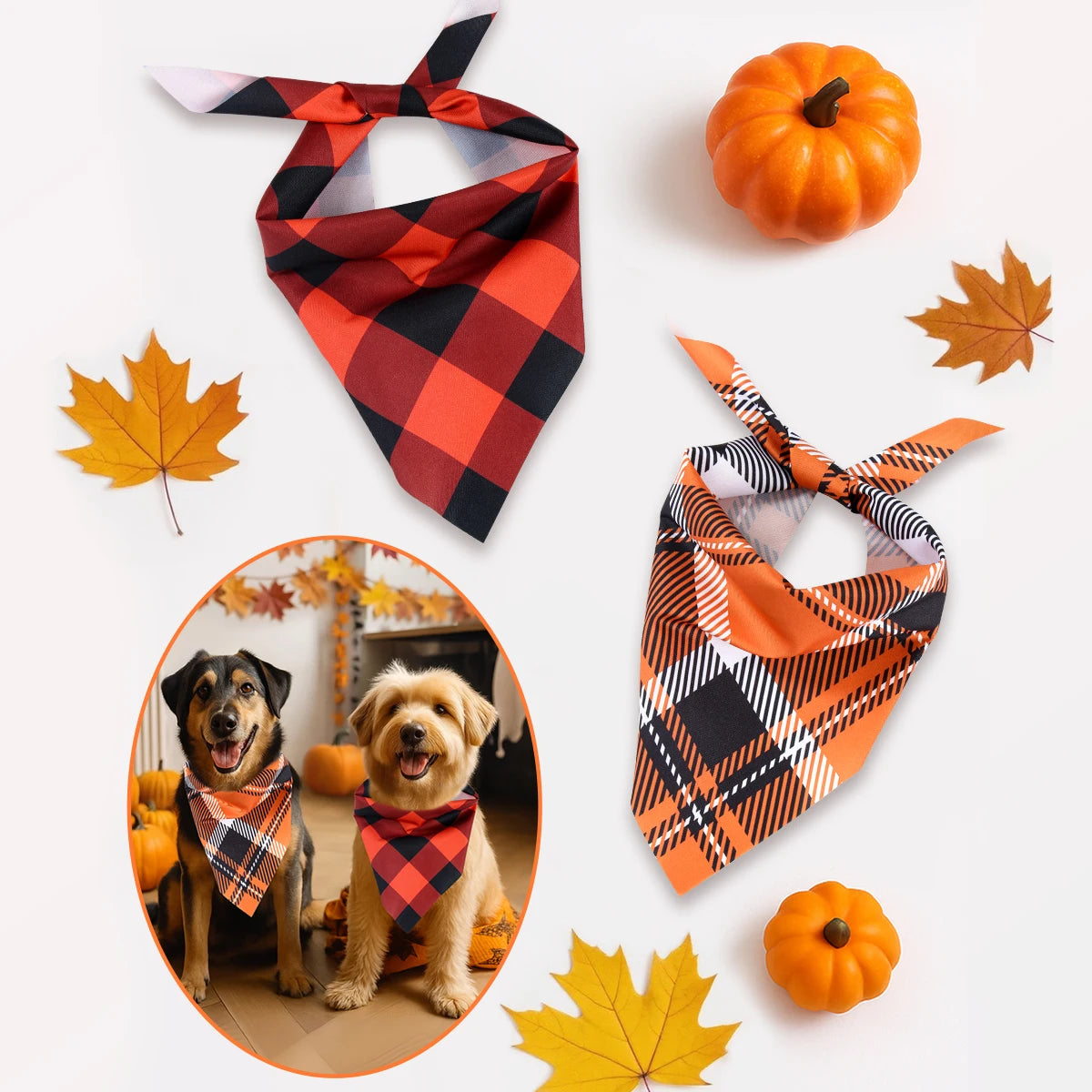 Precious Pumpkin Bandanas