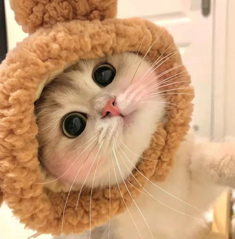 Cuddle Critter Caps