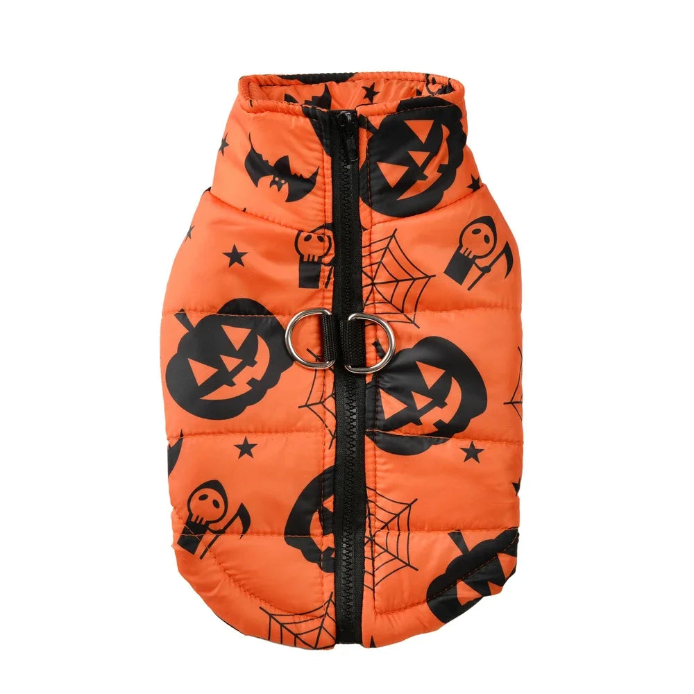 Fang-tastic Fall Jacket