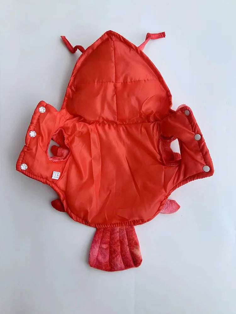Lobster Paws