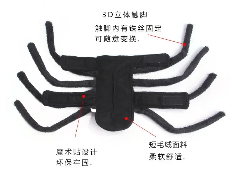 Web Walker