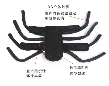 Web Walker - SwagPets 