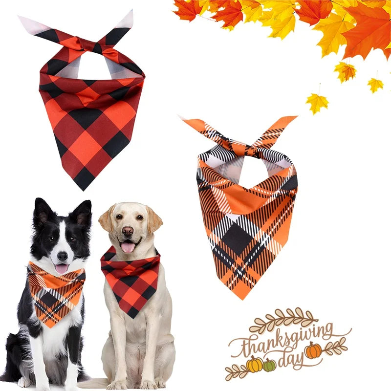 Precious Pumpkin Bandanas