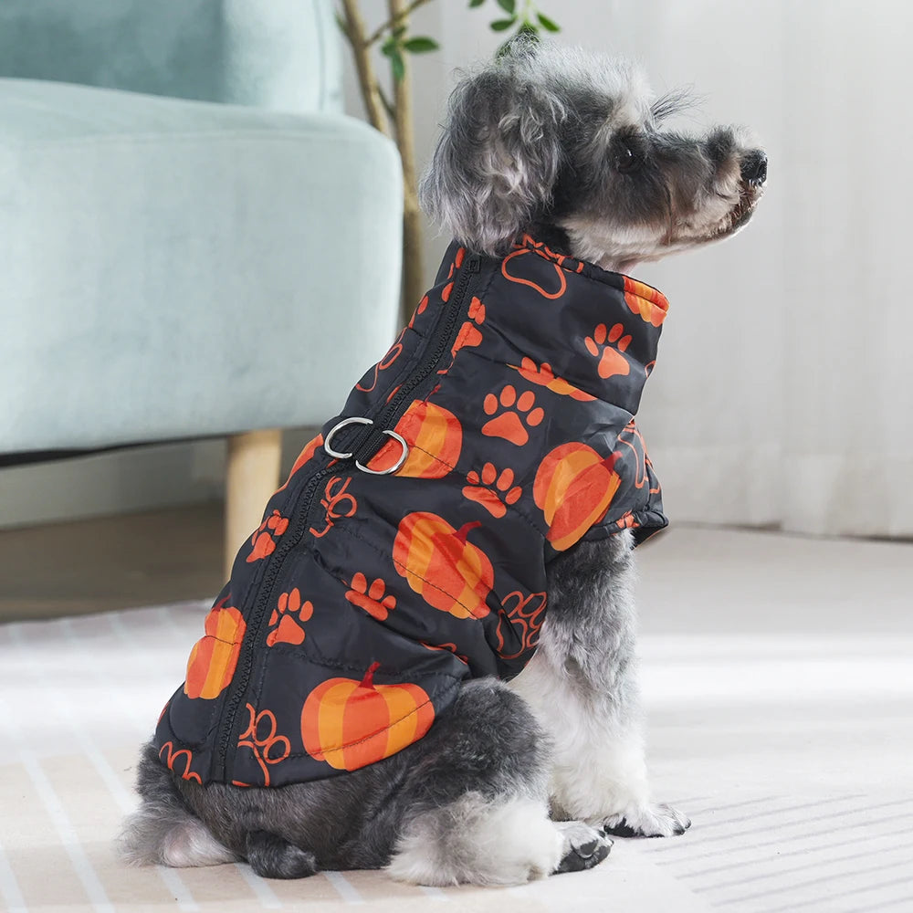 Fang-tastic Fall Jacket
