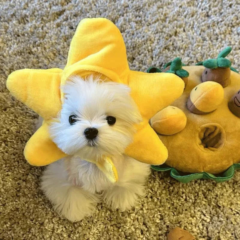 Cuddle Critter Caps