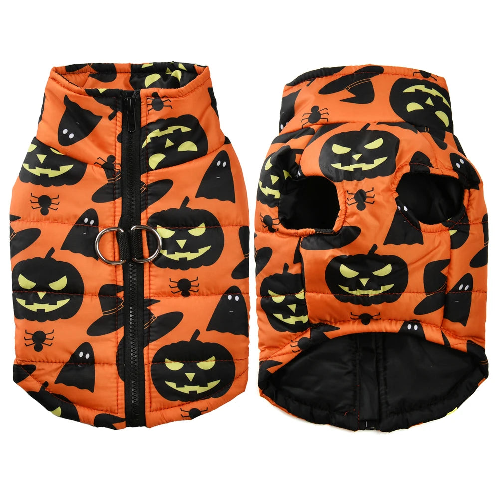 Fang-tastic Fall Jacket