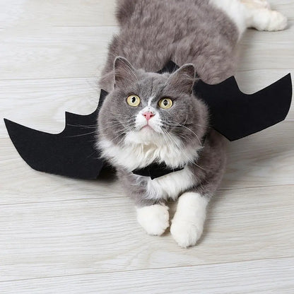 Bat Wing Buddy - SwagPets 