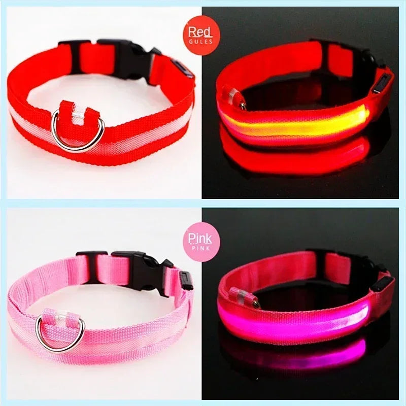 GlowPup LED Collar