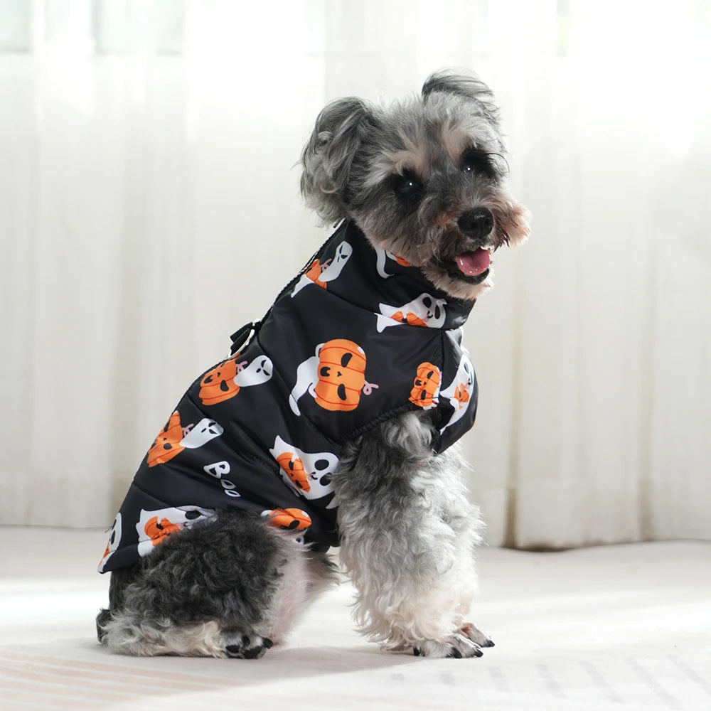 Fang-tastic Fall Jacket
