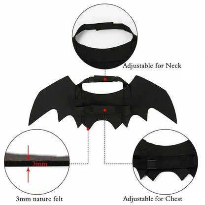 Bat Wing Buddy - SwagPets 