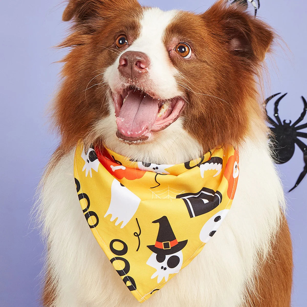 Reversible Howl-o-ween Bandanas - SwagPets 