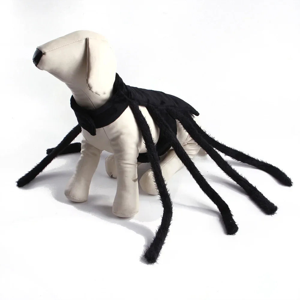 Web Walker