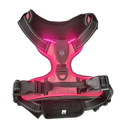 GlowPup LED Harness - SwagPets 
