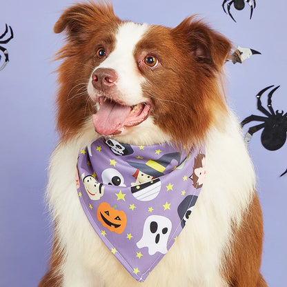 Reversible Howl-o-ween Bandanas - SwagPets 