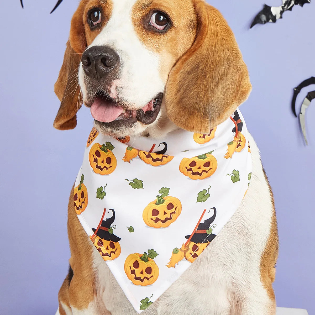 Reversible Howl-o-ween Bandanas - SwagPets 