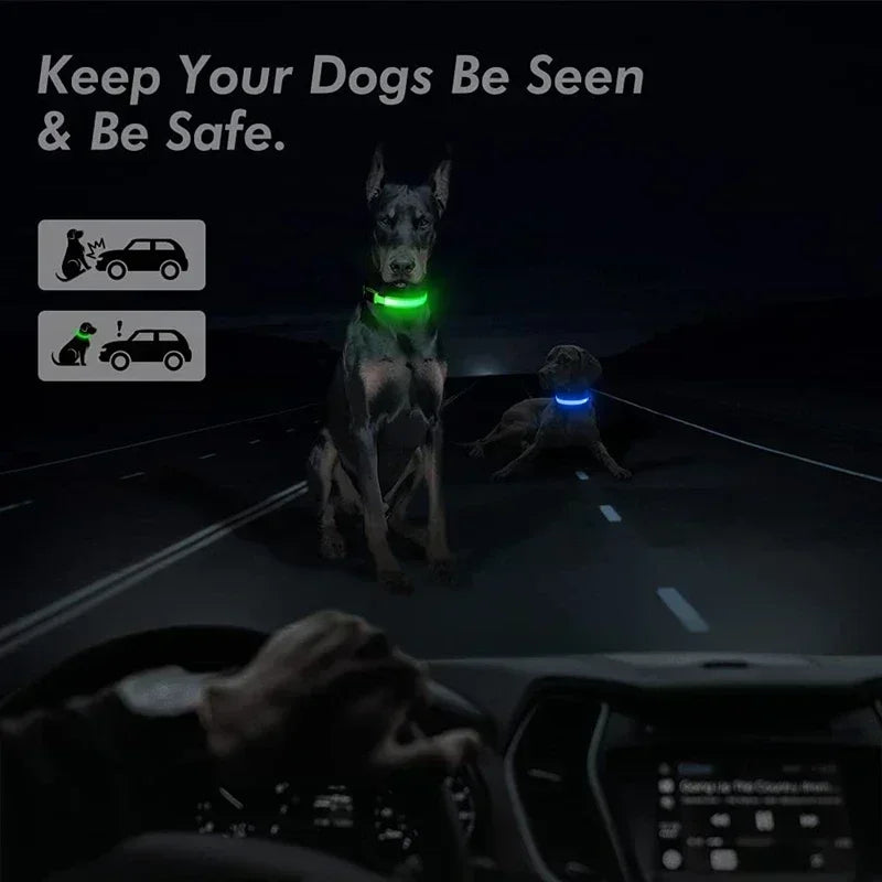 GlowPup LED Collar