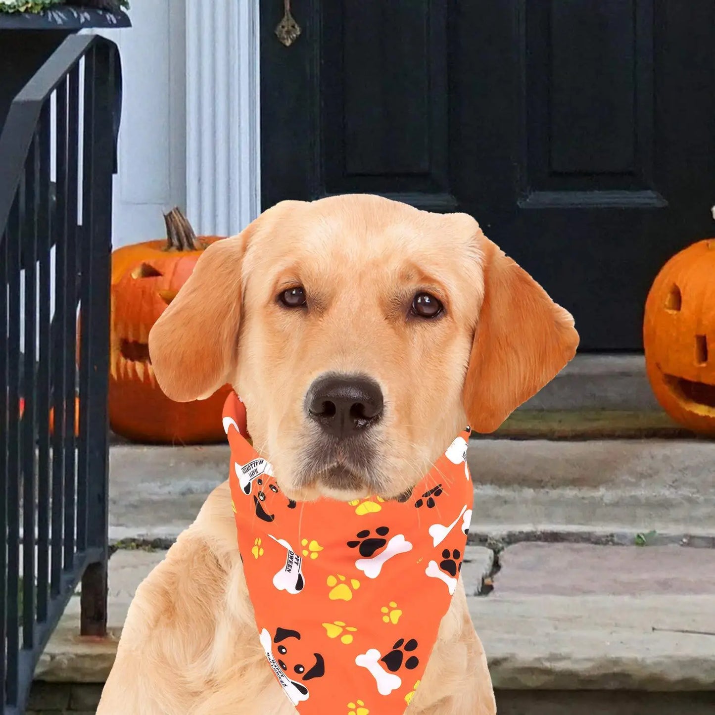 Spooky Paws Bandana