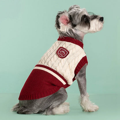 Cozy Paws Knit Sweater - SwagPets 