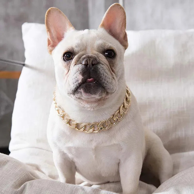 Blingy Paws Gold Chain