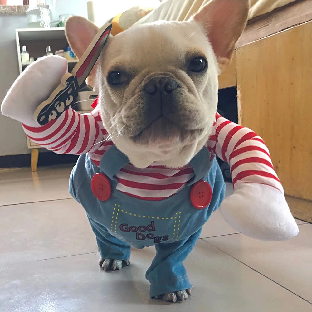 Nightmare on Paw Street