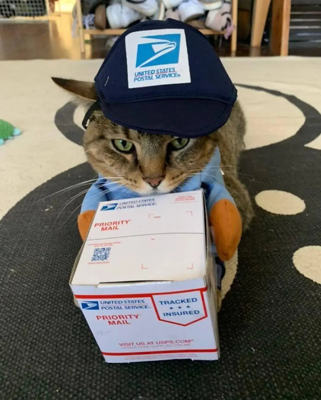 Furry Express