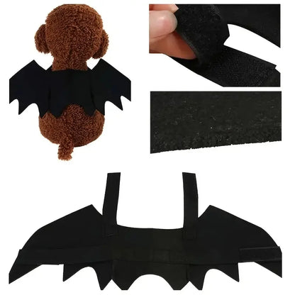 Night Prowler Bat Wings - SwagPets 