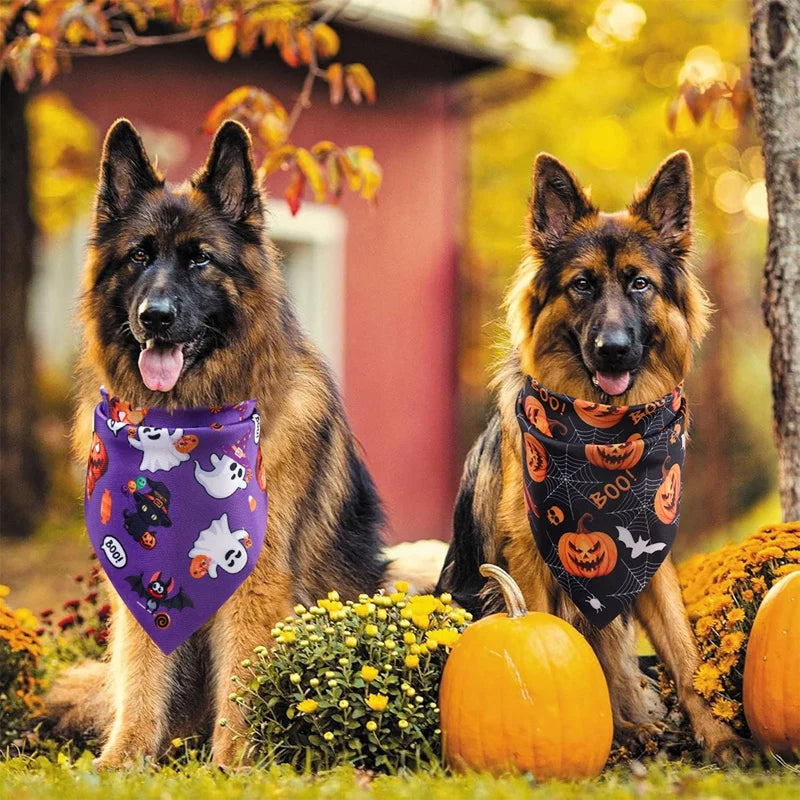 Spooky Paws Bandana Set