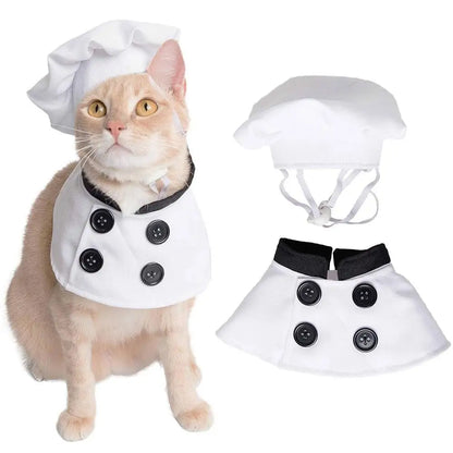 Chef Cutie - SwagPets 