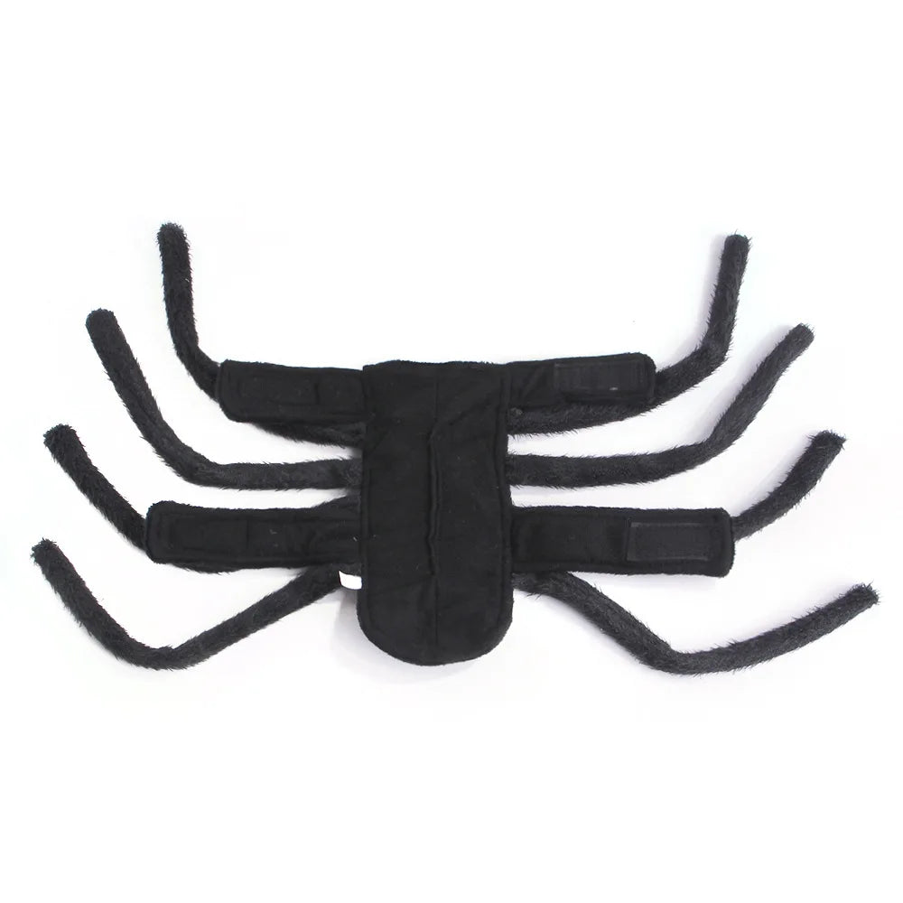 Web Walker