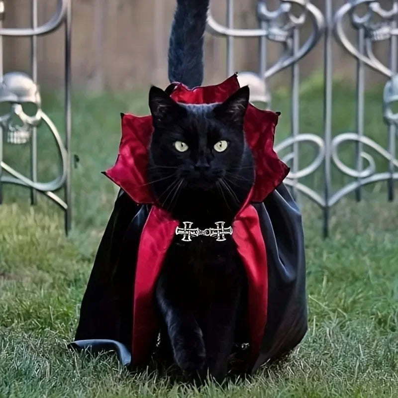 Midnight Meow Cloak